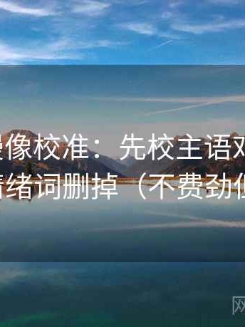 风车动漫像校准：先校主语对得上吗，再把情绪词删掉（不费劲但管用）