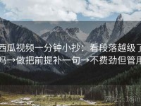 西瓜视频一分钟小抄：看段落越级了吗→做把前提补一句→不费劲但管用