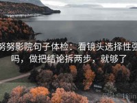 努努影院句子体检：看镜头选择性强吗，做把结论拆两步，就够了