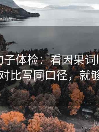 爱一番句子体检：看因果词顺吗，做把对比写同口径，就够了